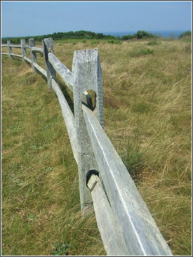 cape cod fence